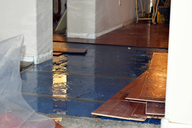 Professional Burst Pipe Cleanup technician working in Holt, MI