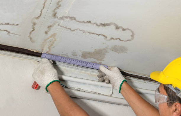 Reliable Burst Pipe Cleanup contractor in Holt, MI by Water Damage Irwin